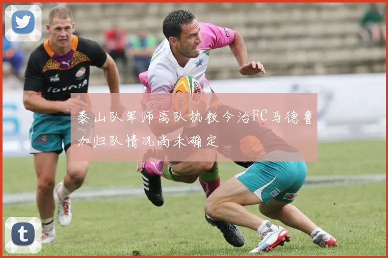 泰山队军师离队执教今治FC马德鲁加归队情况尚未确定